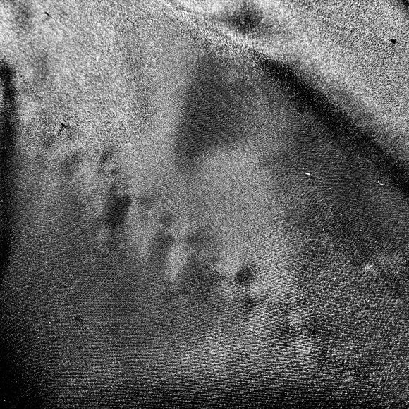 Flora Nikrooz Black Long Nightgown Gown Lace Adjust Strap Sheer Portion Tie sz L - Picture 16 of 16